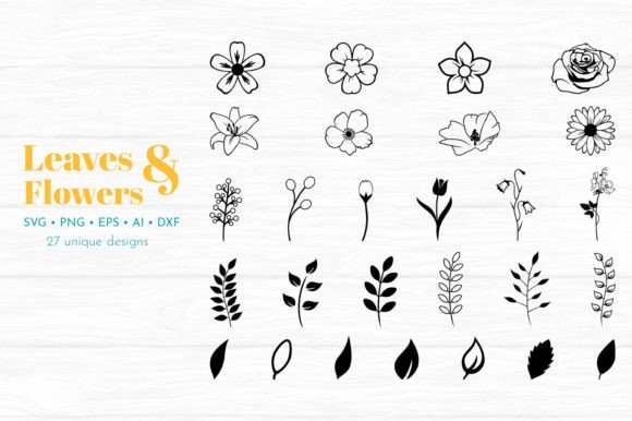 Download Set of Flower Illustrations - Flower illustrations Collection
