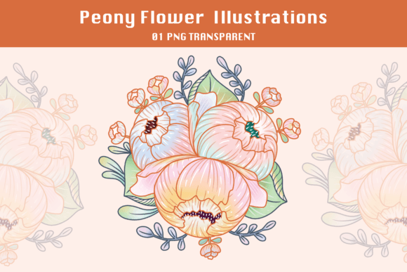 Download Peony Flower Illustrations - Flower illustrations Collection