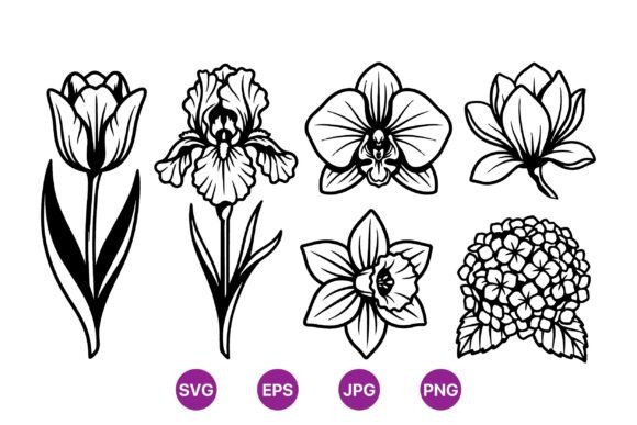 Download Elegant Black Line Flower Illustrations - Flower illustrations Collection