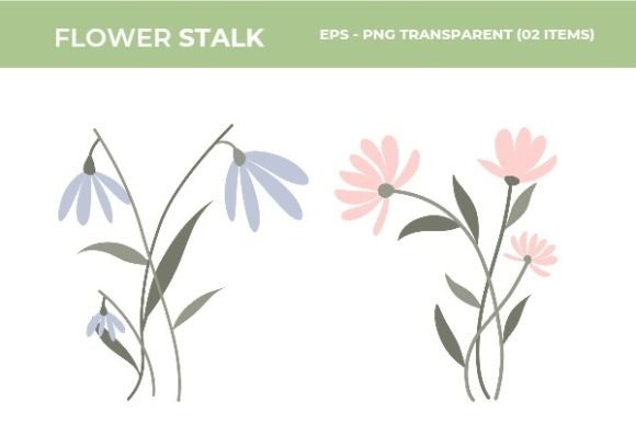 Download Beautiful Flower Illustrations - Flower illustrations Collection