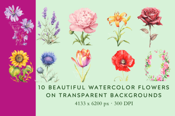 Download Vintage Watercolor Flower Illustrations - Flower illustrations Collection