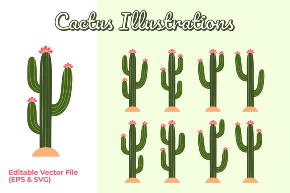 Download Set of Cactus with Flower Illustrations - Flower illustrations Collection